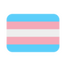 trans flag